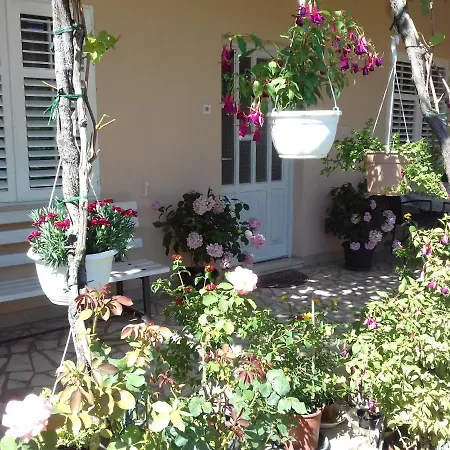 Apartman Iva *