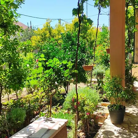 Apartman Iva Kastela